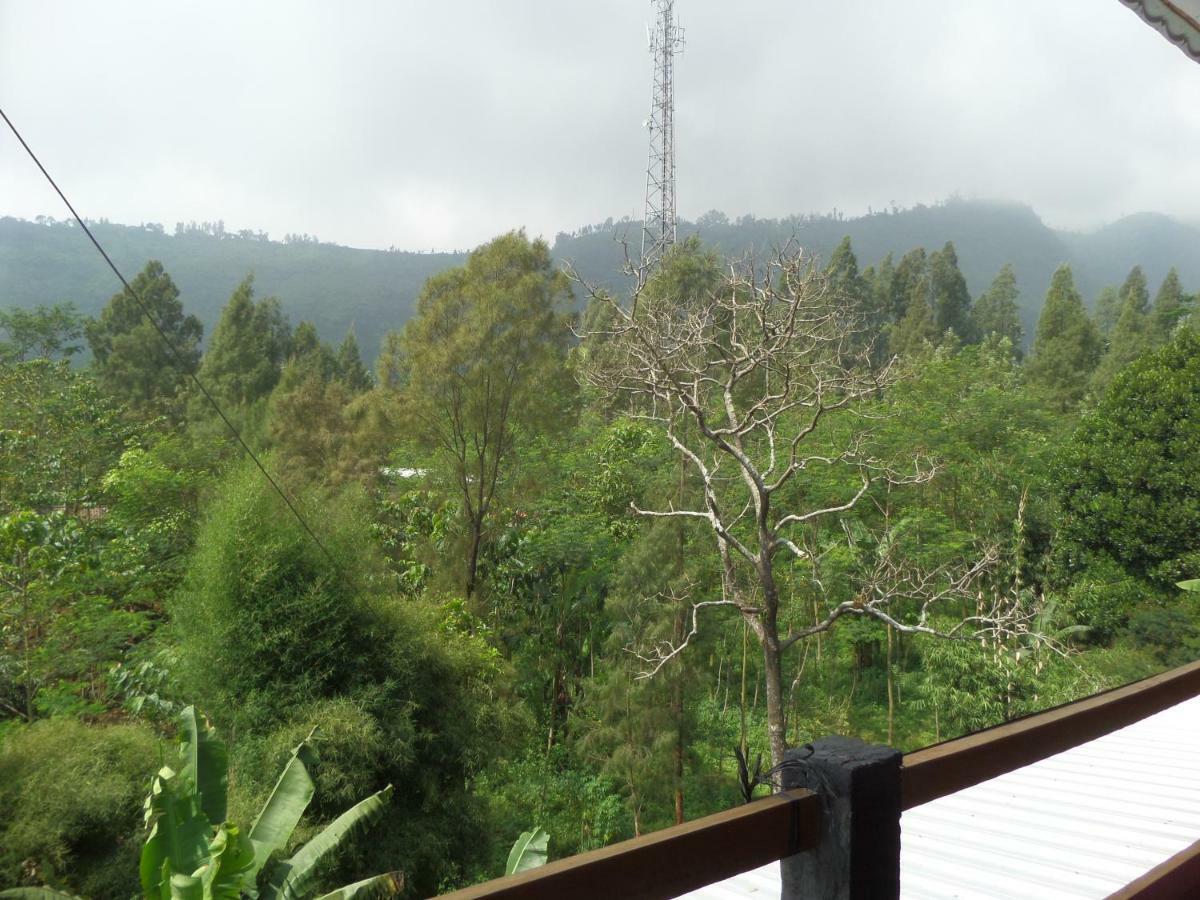 Istana Petani Hotel Bromo Exterior foto